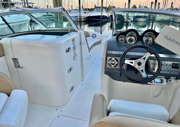 Sea-ray 260-SUNDECK image