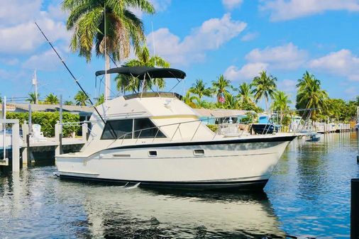 Hatteras 37 Convertible image