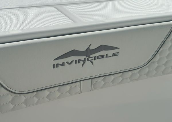 Invincible 33-CATAMARAN image