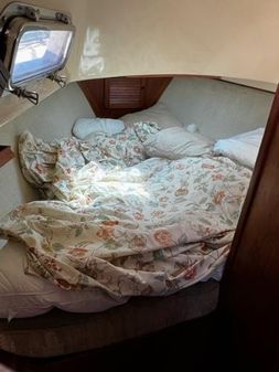 Island-packet 27 image
