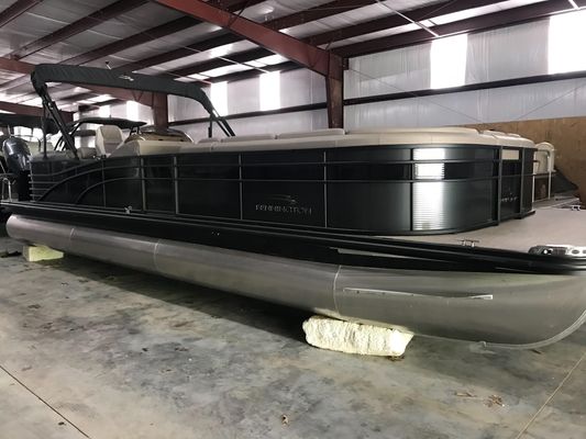Bennington 28RSRX 10' - main image