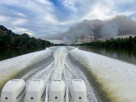 Boston Whaler 380 Realm image