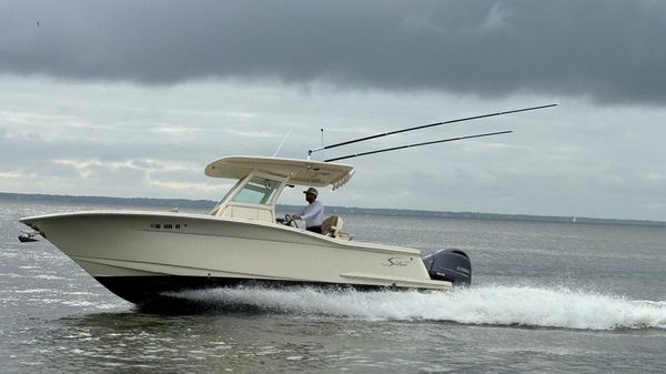 Scout 255 LXF