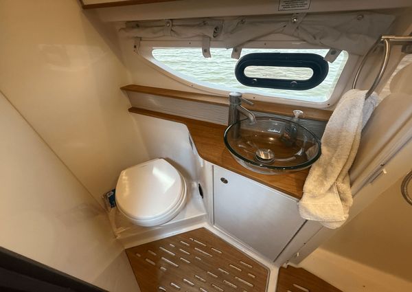 Sea Ray 350 Sundancer Coupe image