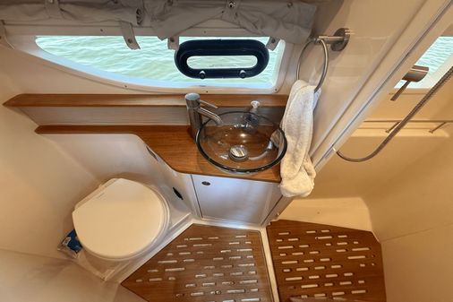 Sea Ray 350 Sundancer Coupe image