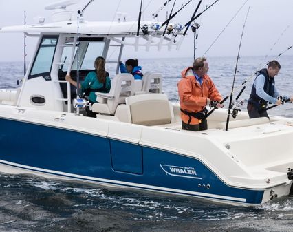 Boston-whaler 330-OUTRAGE image