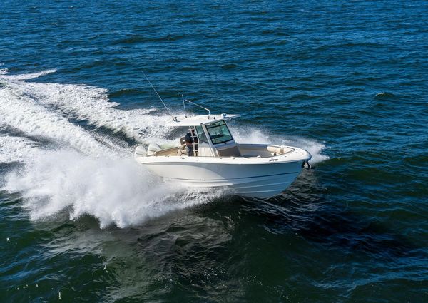 Boston-whaler 330-OUTRAGE image