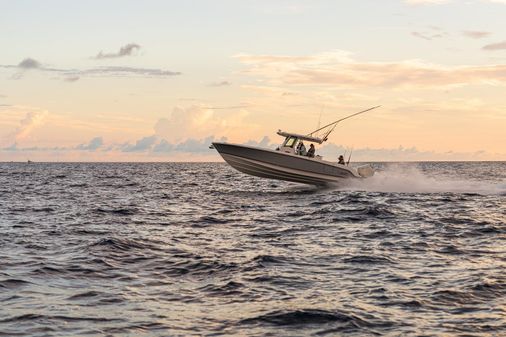 Boston-whaler 330-OUTRAGE image