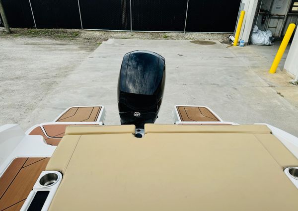 Bayliner DX2000 image