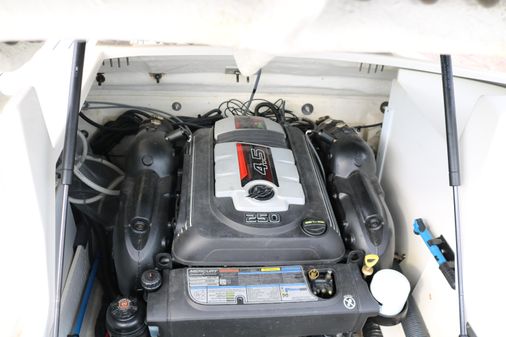 Sea Ray SDX 240 image