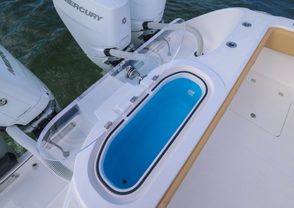 Invincible 37-CATAMARAN image