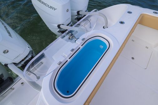 Invincible 37 Catamaran image