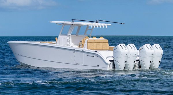 Invincible 37 Catamaran image