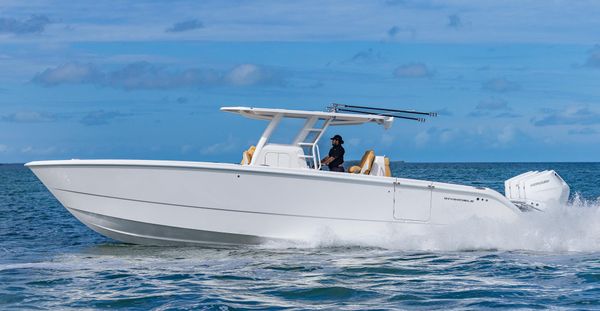 Invincible 37 Catamaran image