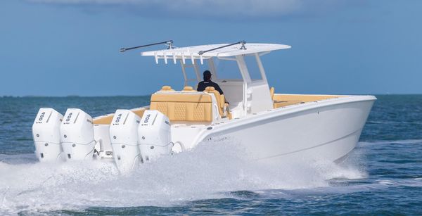 Invincible 37 Catamaran image