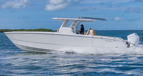 Invincible 37 Catamaran image