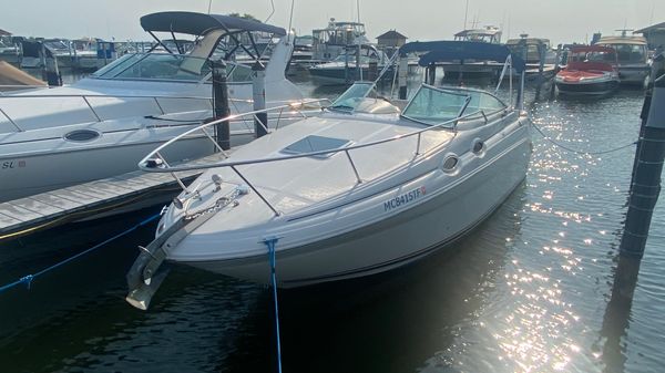 Sea Ray 260 Sundancer 