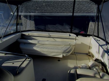 Sea Ray 290 Amberjack image