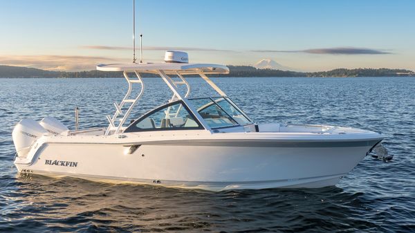 Blackfin 252 DC 