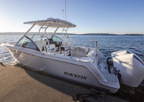 Blackfin 252-DC image