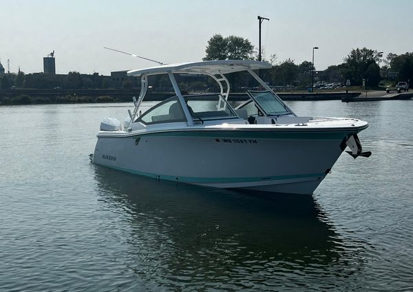 Blackfin 272 DC image