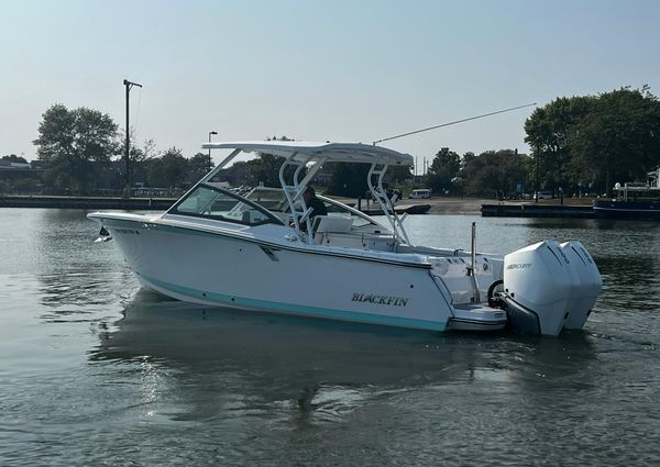 Blackfin 272 DC image