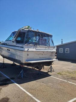 Sea Ray 340 Express Cruiser image