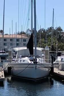 Catalina 350 image