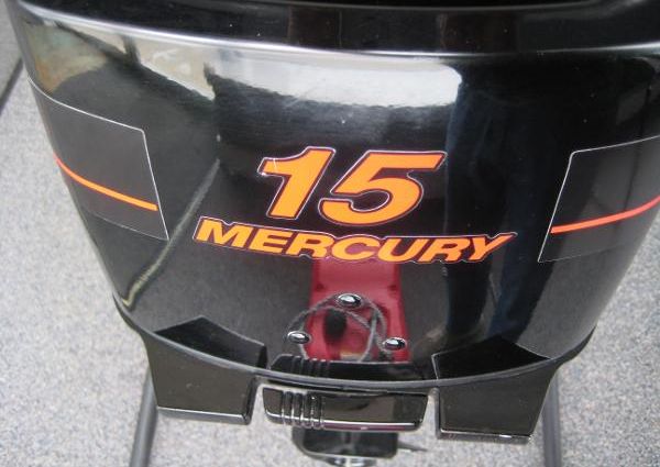 Mercury 15 HP EH 4STROKE image