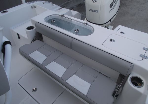 Sea-pro 219-CENTER-CONSOLE image