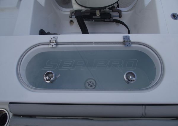 Sea-pro 219-CENTER-CONSOLE image