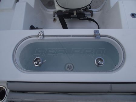 Sea-pro 219-CENTER-CONSOLE image