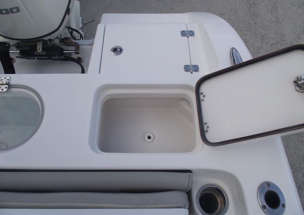 Sea-pro 219-CENTER-CONSOLE image