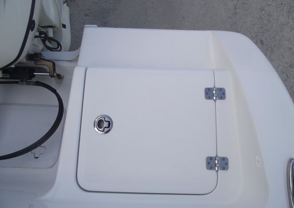 Sea-pro 219-CENTER-CONSOLE image