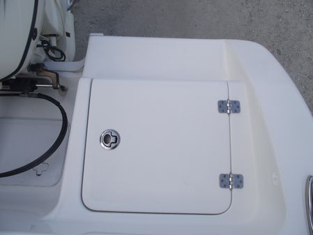 Sea-pro 219-CENTER-CONSOLE image