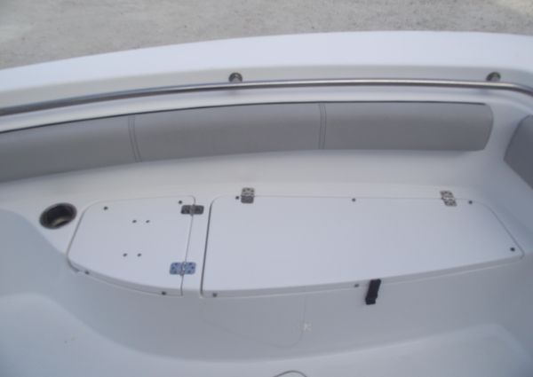 Sea-pro 219-CENTER-CONSOLE image