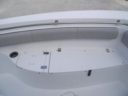 Sea-pro 219-CENTER-CONSOLE image