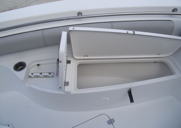 Sea-pro 219-CENTER-CONSOLE image