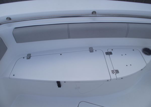 Sea-pro 219-CENTER-CONSOLE image