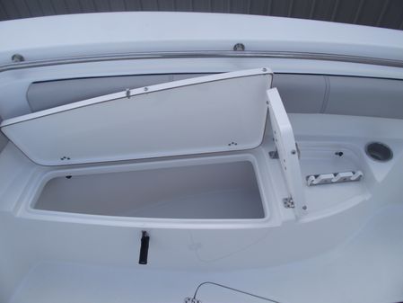 Sea-pro 219-CENTER-CONSOLE image