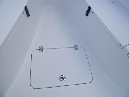 Sea-pro 219-CENTER-CONSOLE image