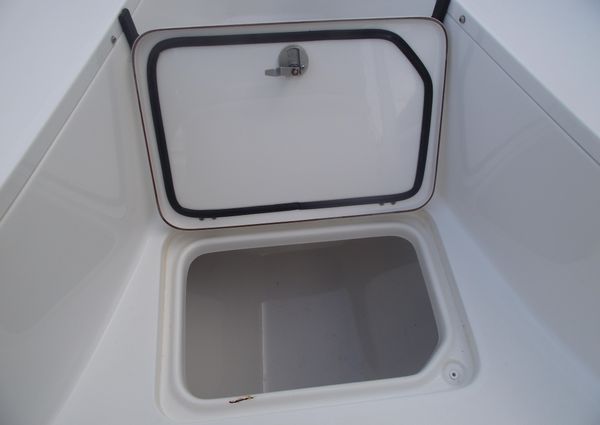 Sea-pro 219-CENTER-CONSOLE image