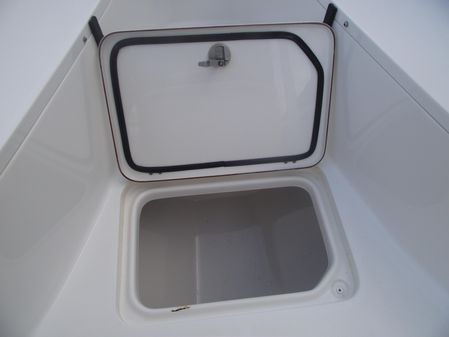 Sea-pro 219-CENTER-CONSOLE image