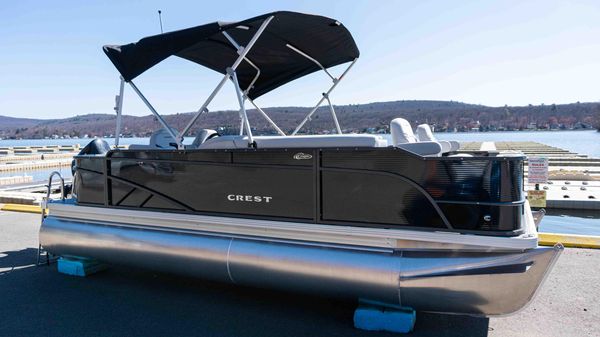 Crest Classic Fish 