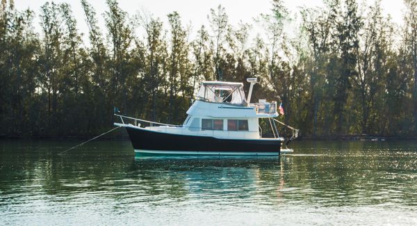Mainship 34 Trawler image