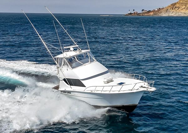 Hatteras 50 Convertible image