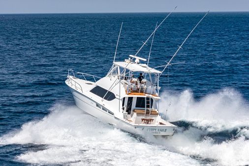 Hatteras 50 Convertible image