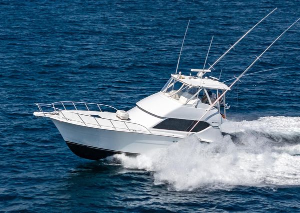 Hatteras 50 Convertible image