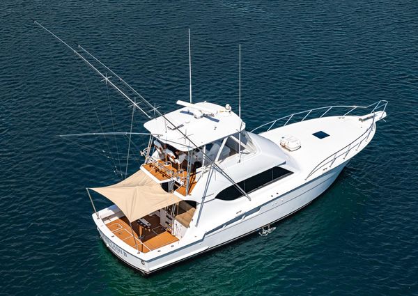 Hatteras 50 Convertible image