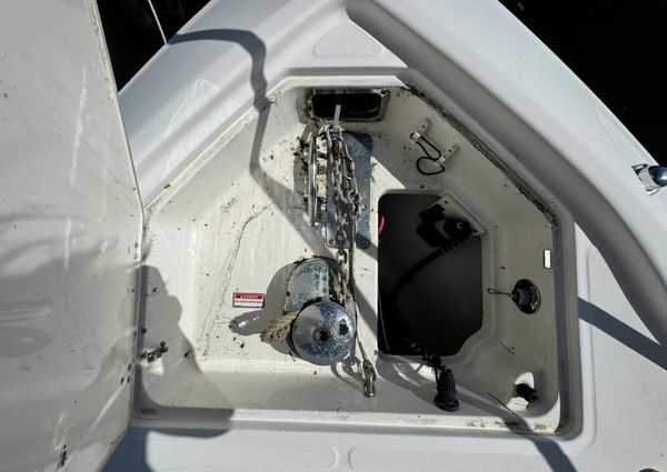 Boston Whaler 320 Outrage Cuddy Cabin image